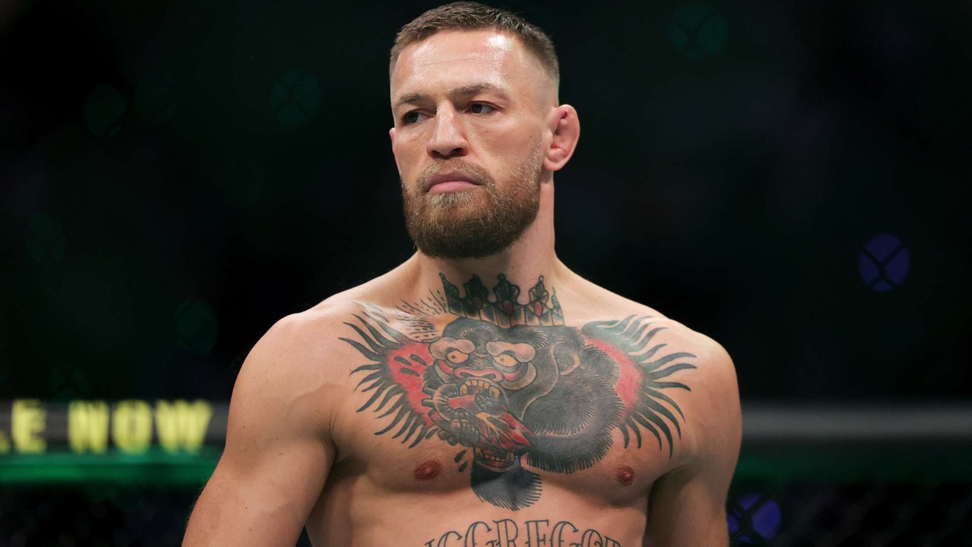 容易使球队 容易使球队