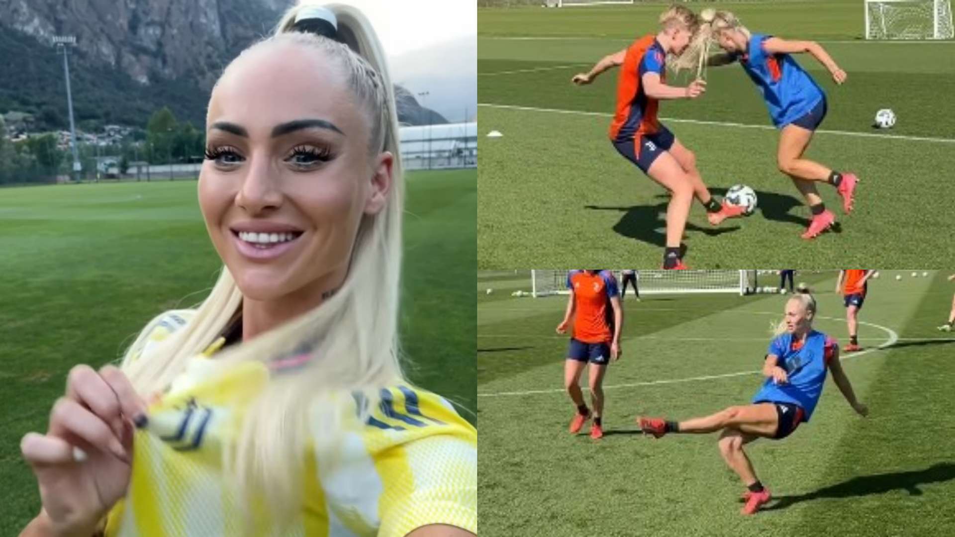 这篇文章将 这篇文章将