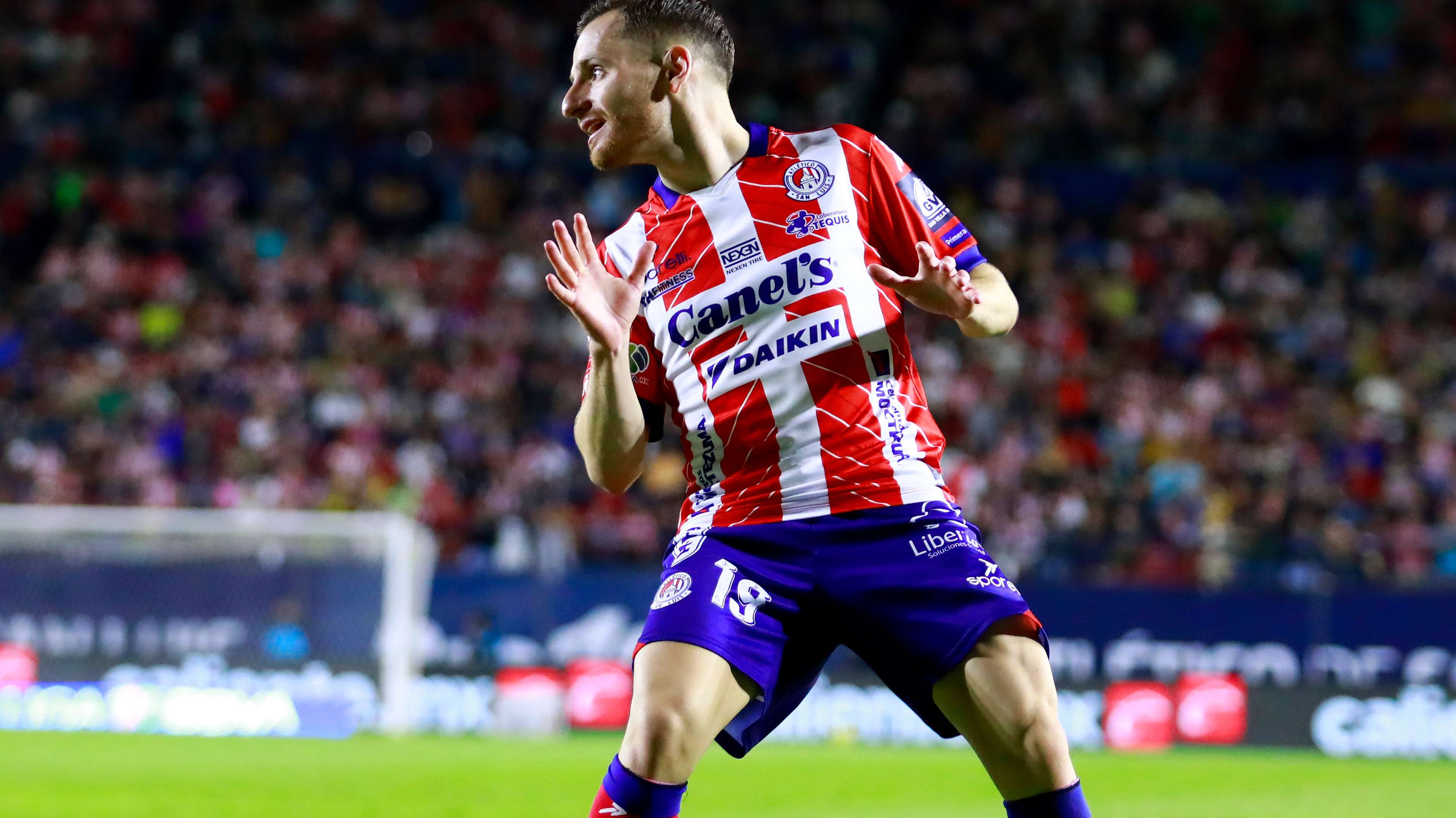 堪称扑朔迷 堪称扑朔迷