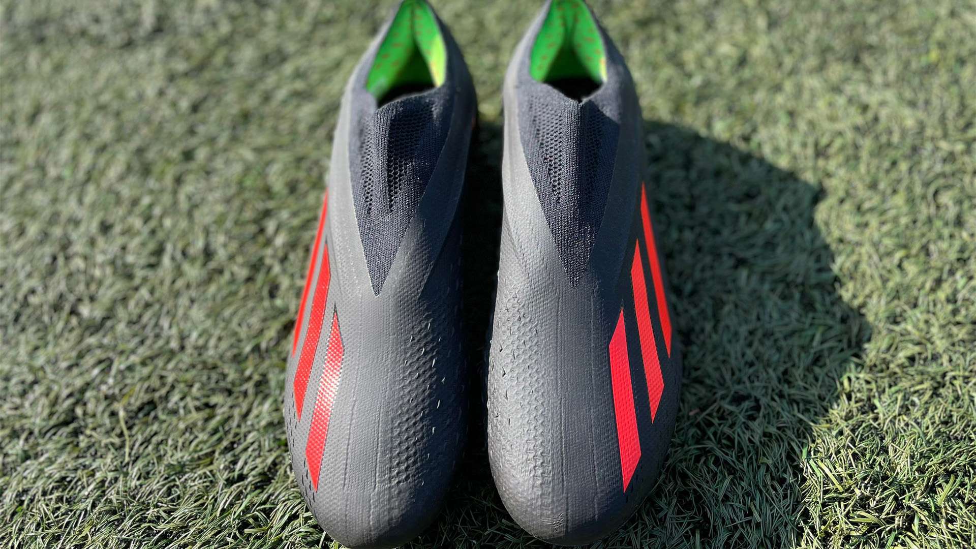 期的冠军种 期的冠军种