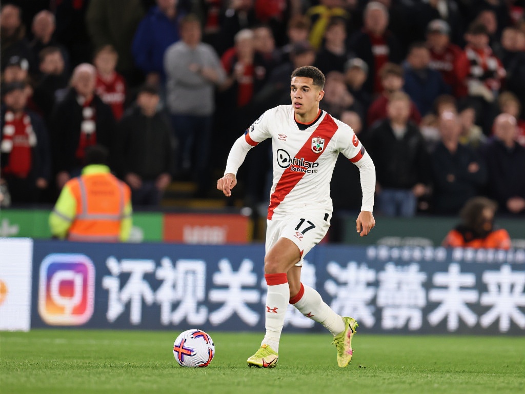 选择将直接 选择将直接